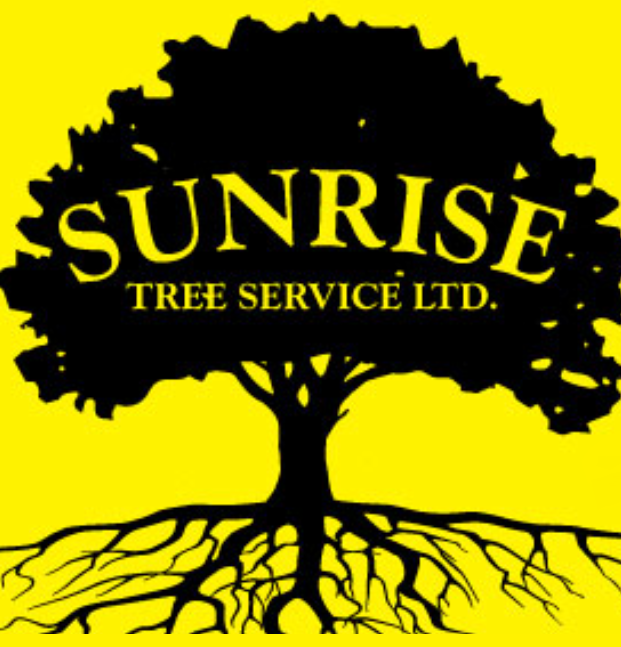 Sunrise tree services